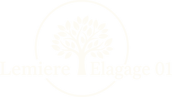 Lemiere Elagage 01 — élagueur à Péronnas, Ain